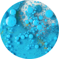DRUPAL
