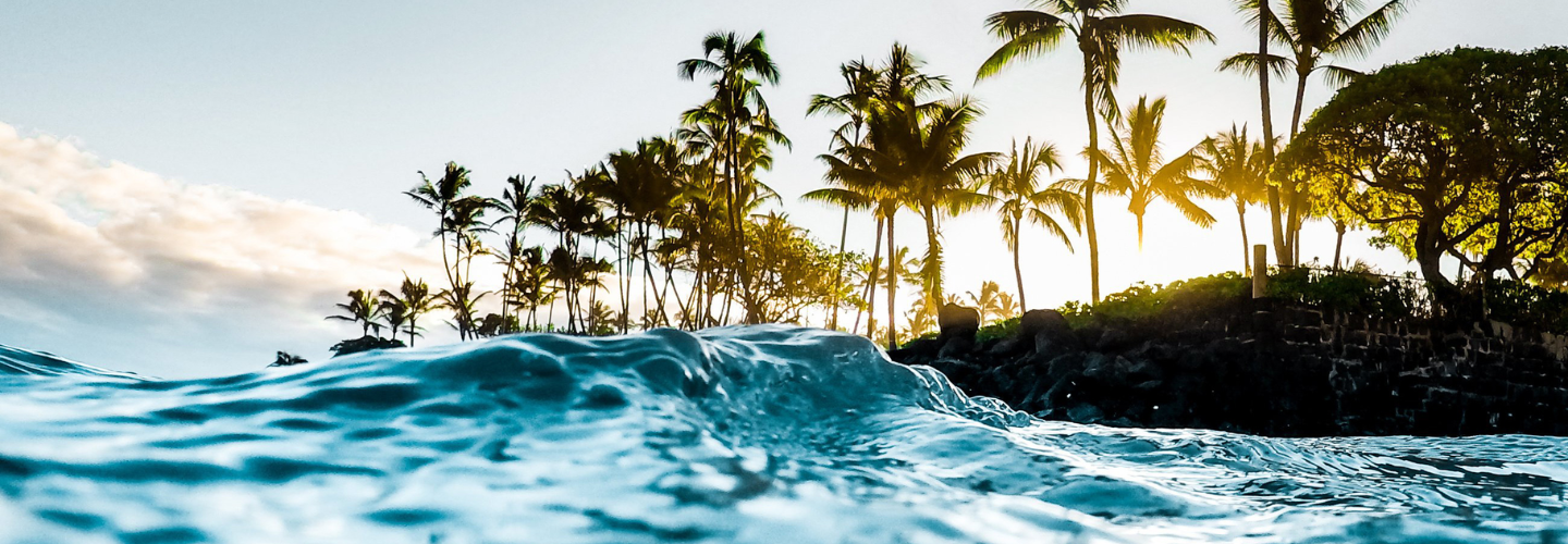 Hawaiian Host and Shopify