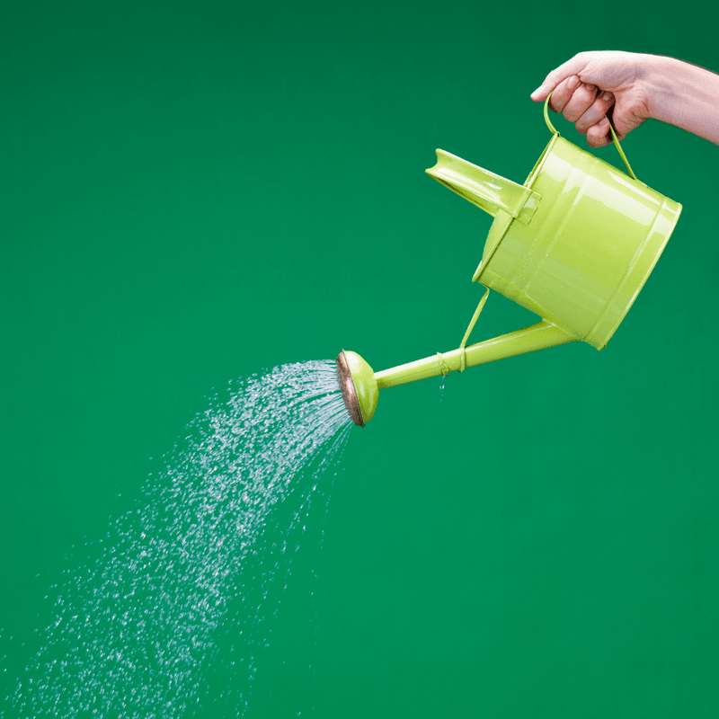 watering can on a green background 